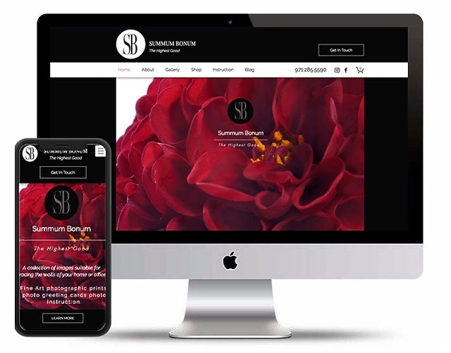 Summit Bonum website design example